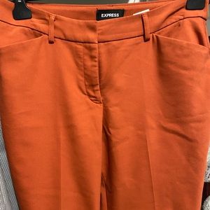 Express work pants